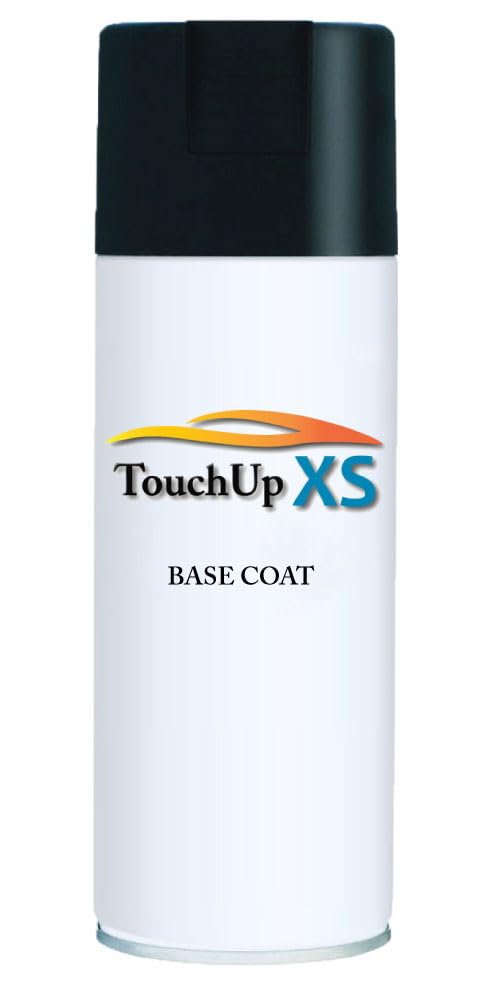 Amazon.com: TouchupXS-Perfect Match For Coachmen-RV TS40888 Black